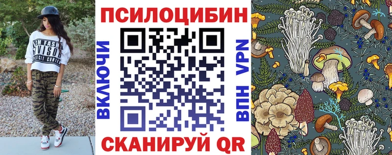 Галлюциногенные грибы Psilocybine cubensis  даркнет сайт  Раменское 