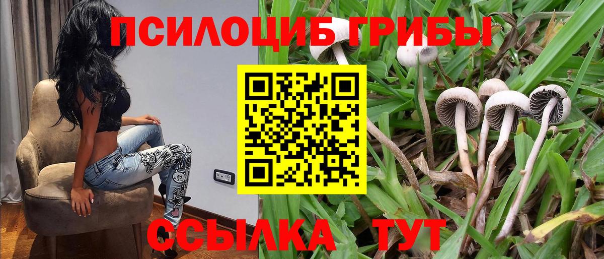 Галлюциногенные грибы мухоморы Раменское